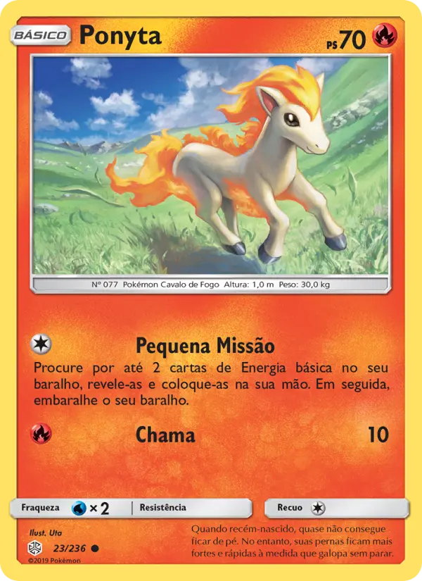 Ponyta