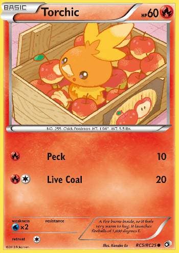 Torchic