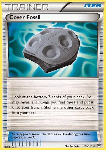 Cover Fossil