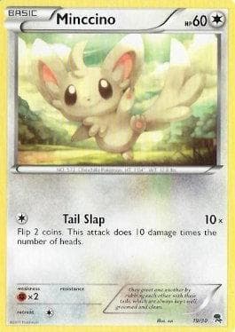 Minccino