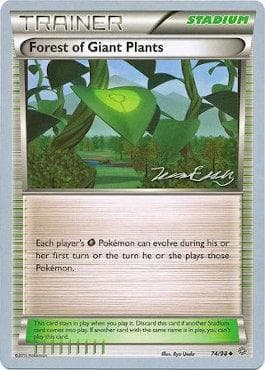 Floresta das Plantas Gigantes