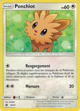 Lillipup