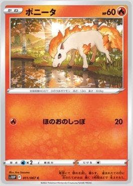 Ponyta