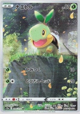 Turtwig