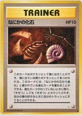 Mysterious Fossil
