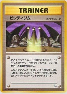 Pewter City Gym