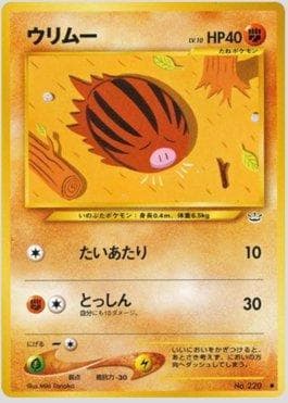 Swinub