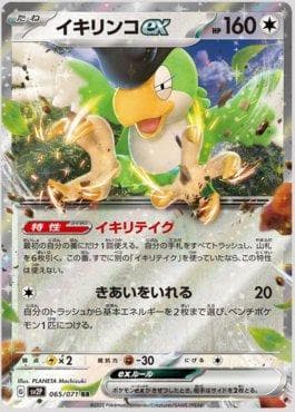 Squawkabilly ex