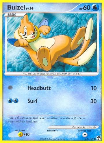 Buizel