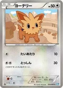 Lillipup