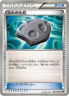 Cover Fossil