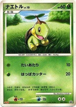 Turtwig