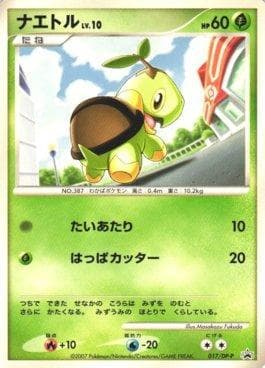 Turtwig