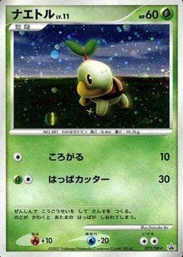 Turtwig