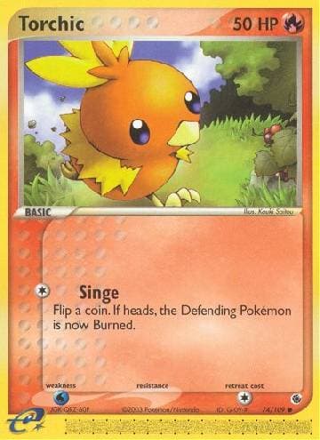 Torchic