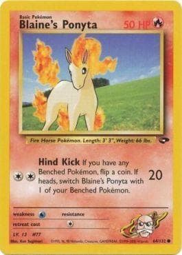 Ponyta do Blaine