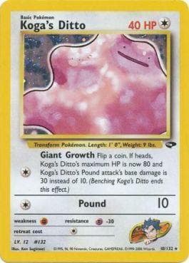 Ditto do Koga