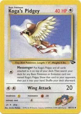 Pidgey do Koga