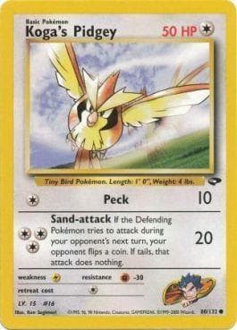 Pidgey do Koga