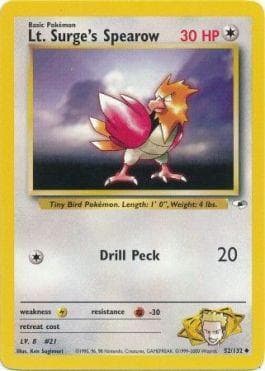 Spearow do Cap. Surge