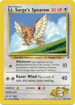 Spearow do Cap. Surge