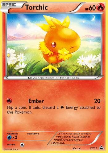 Torchic