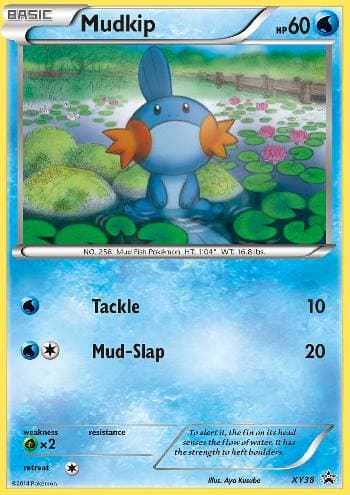 Mudkip